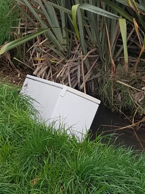 General Request, a report photo