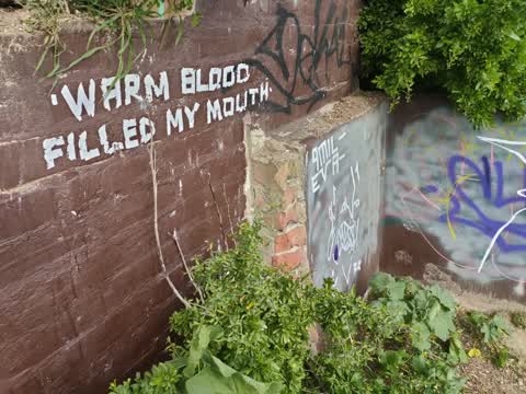 Graffiti, a report photo