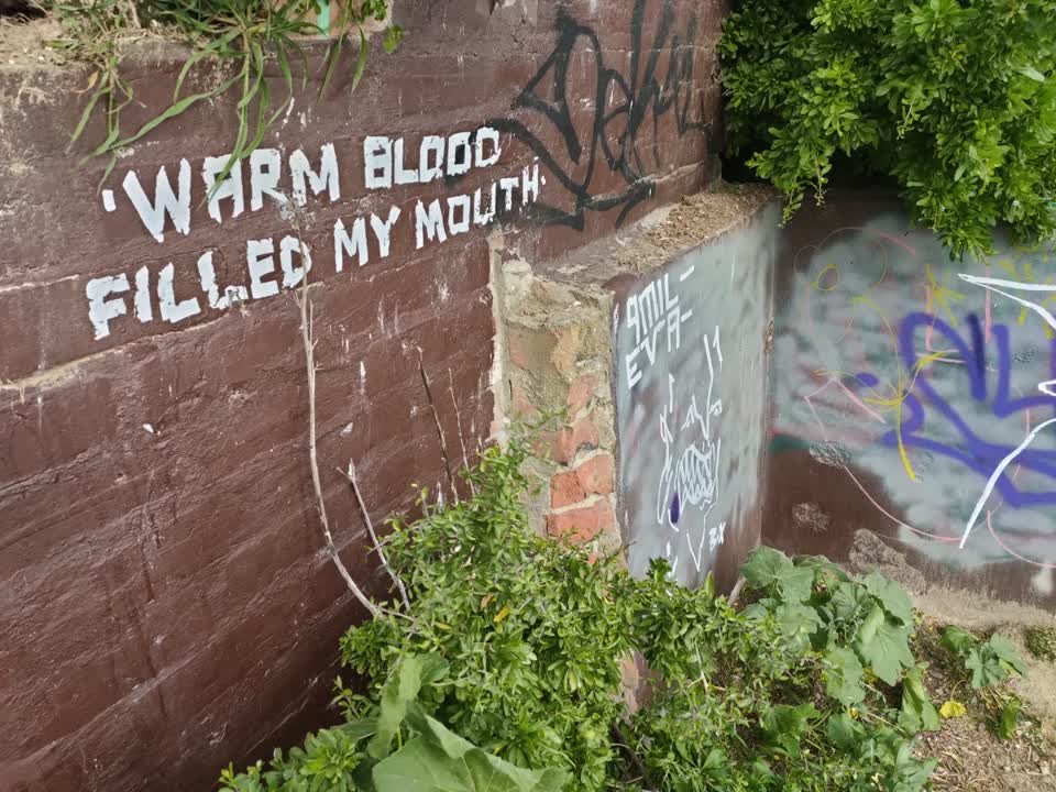 The photograph attached to this graffiti report