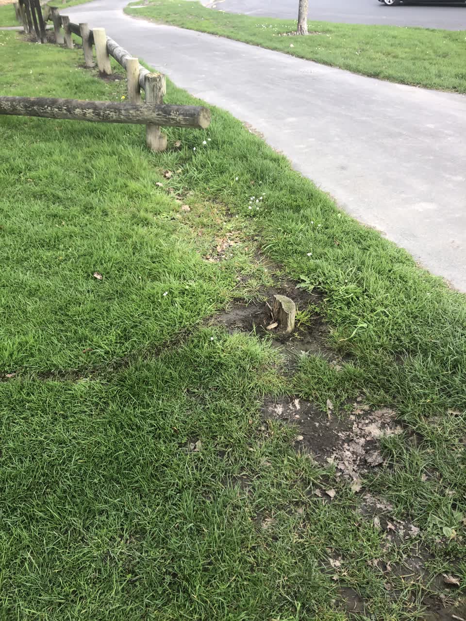 The photograph attached to this parks report