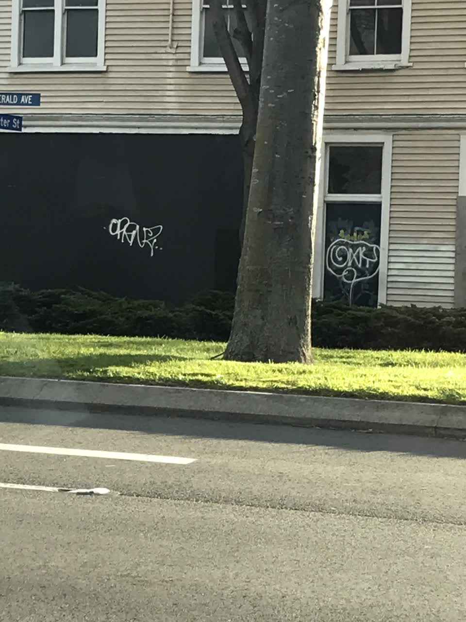 The photograph attached to this graffiti report