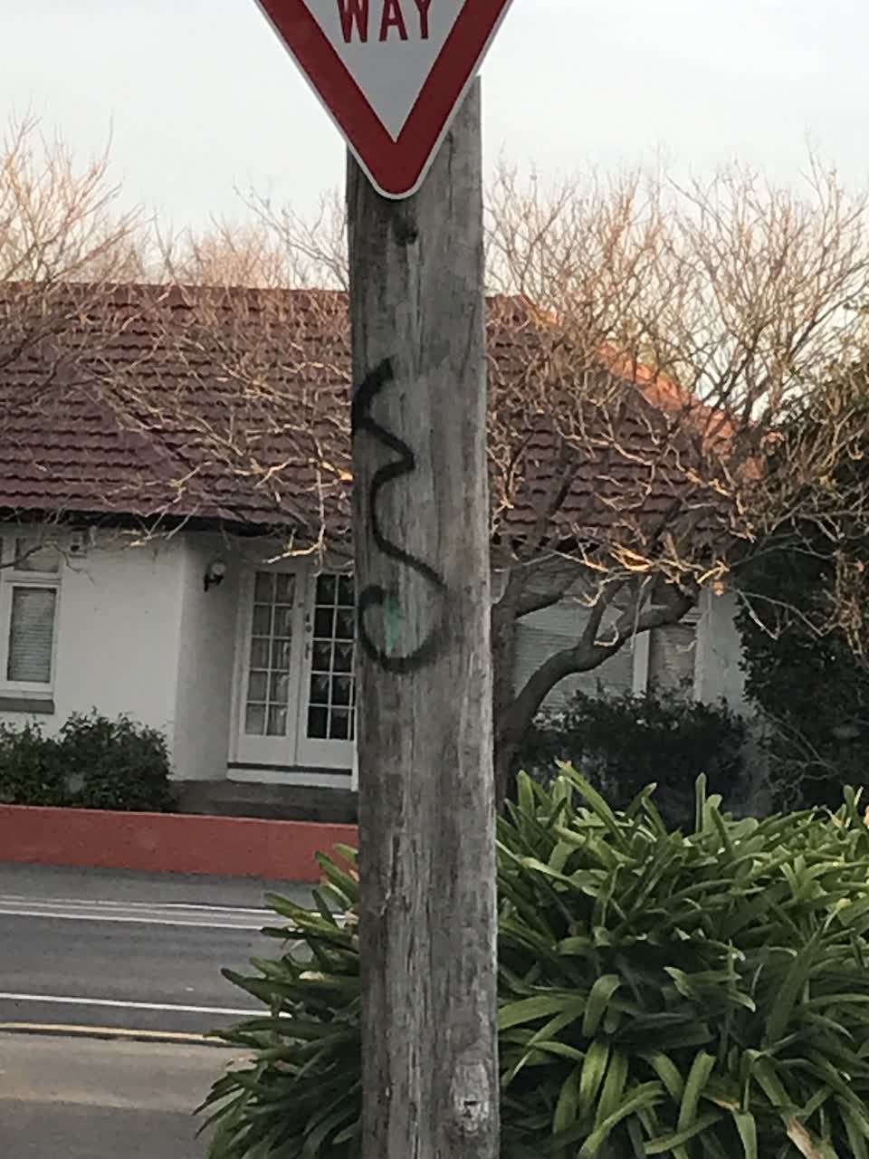 The photograph attached to this graffiti report