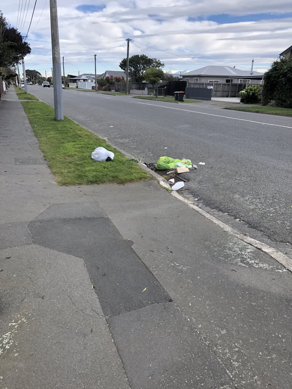 The photograph attached to this rubbish/recycling report