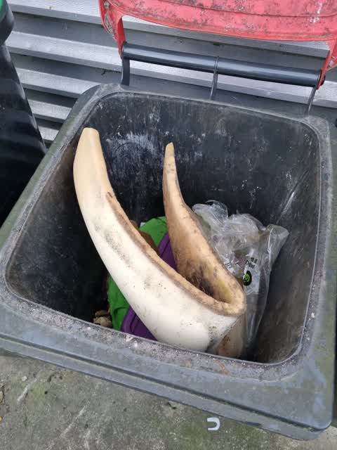 Rubbish/Recycling, a report photo