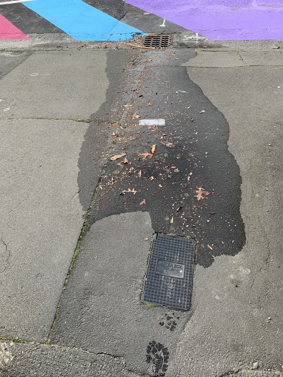 The photograph attached to this water leak report