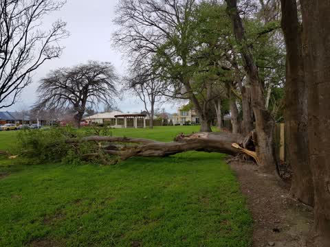 Parks, a report photo