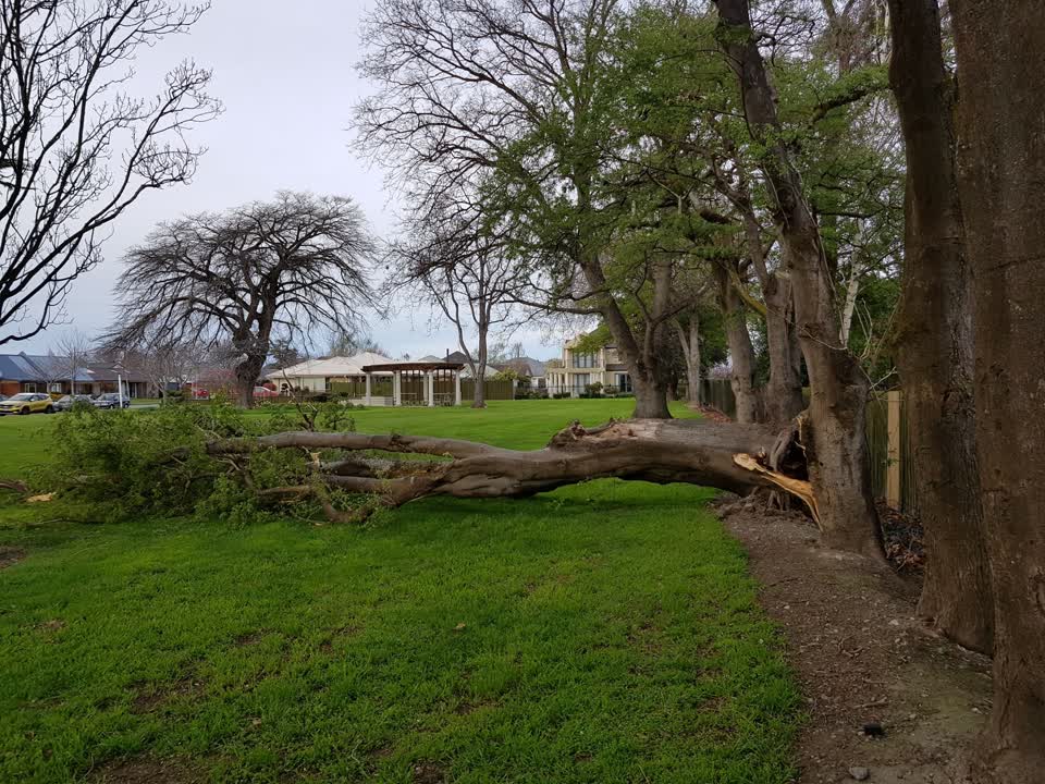 The photograph attached to this parks report