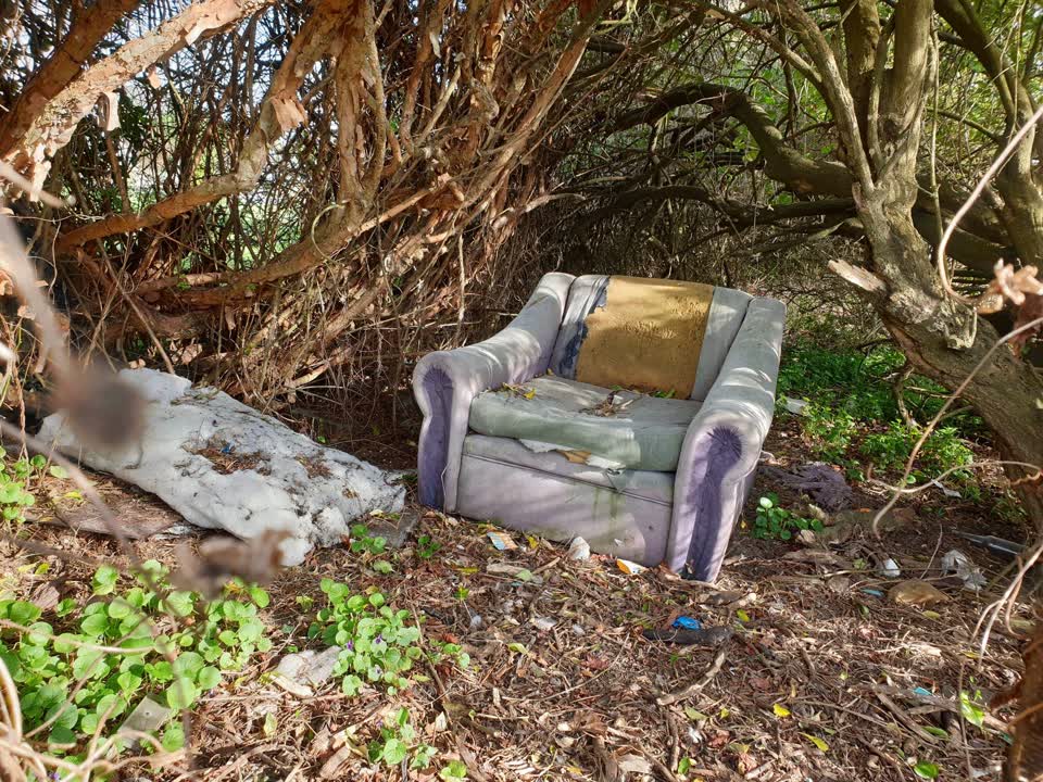 The photograph attached to this parks report