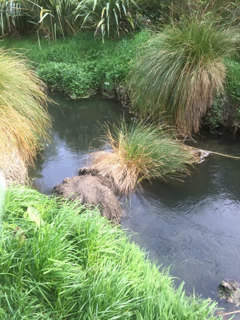Flooding, a report photo
