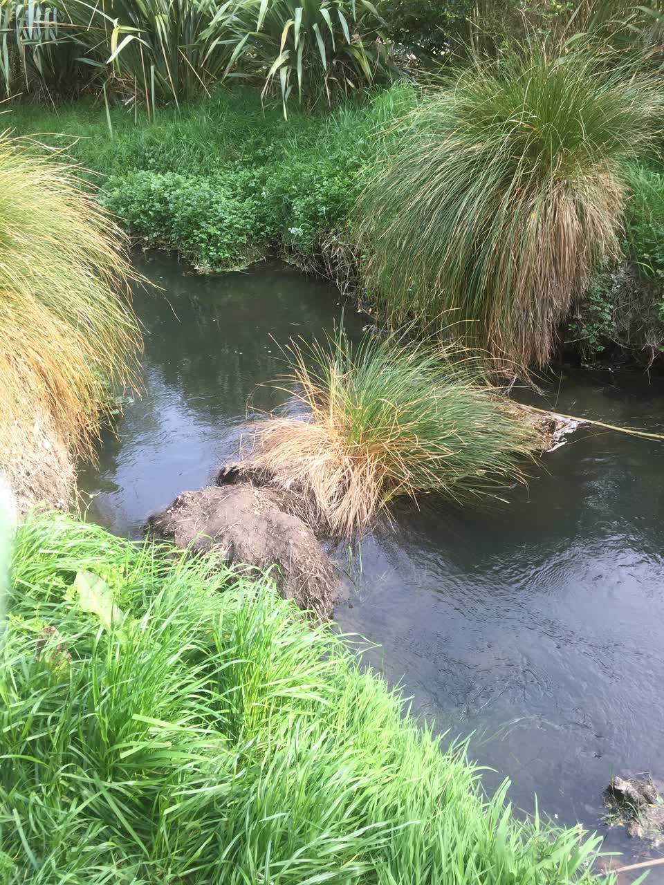 The photograph attached to this flooding report