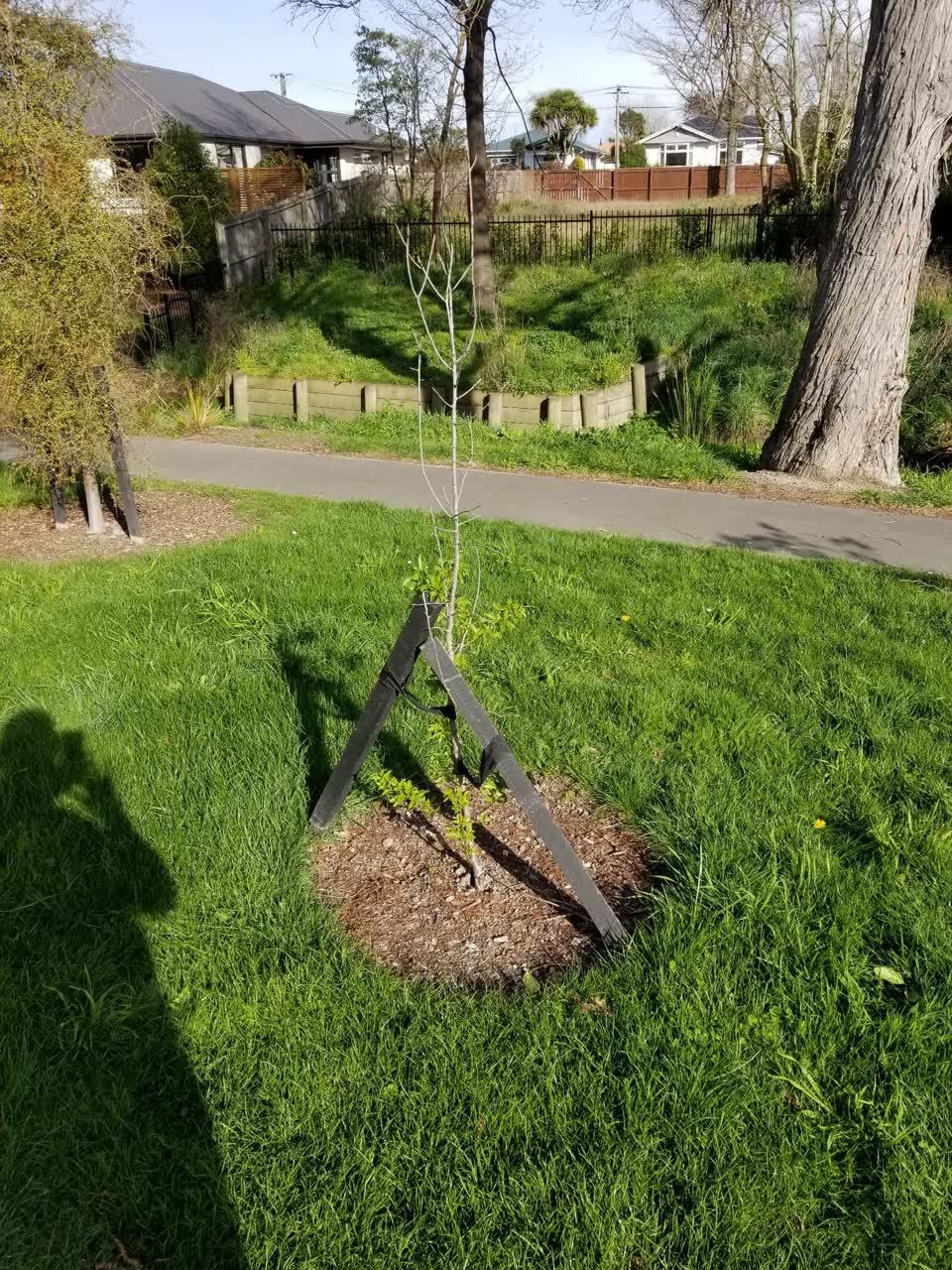 The photograph attached to this parks report