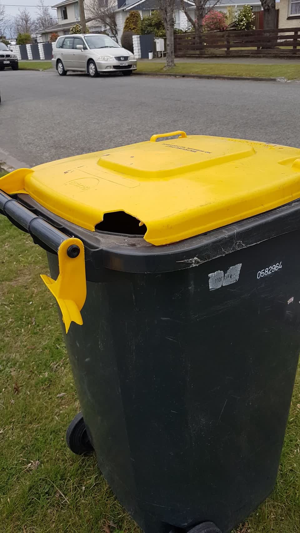 The photograph attached to this rubbish/recycling report