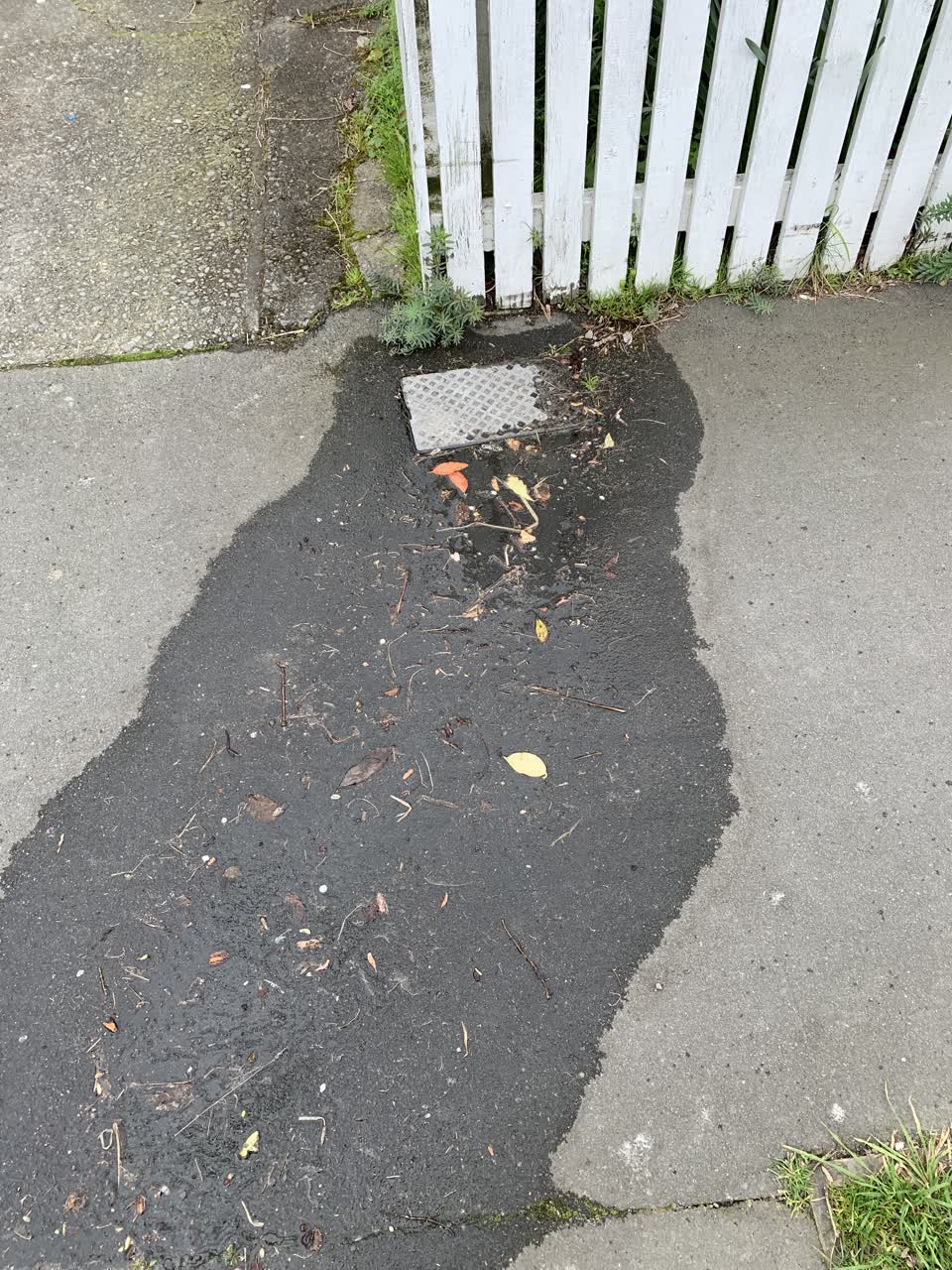 The photograph attached to this water supply report