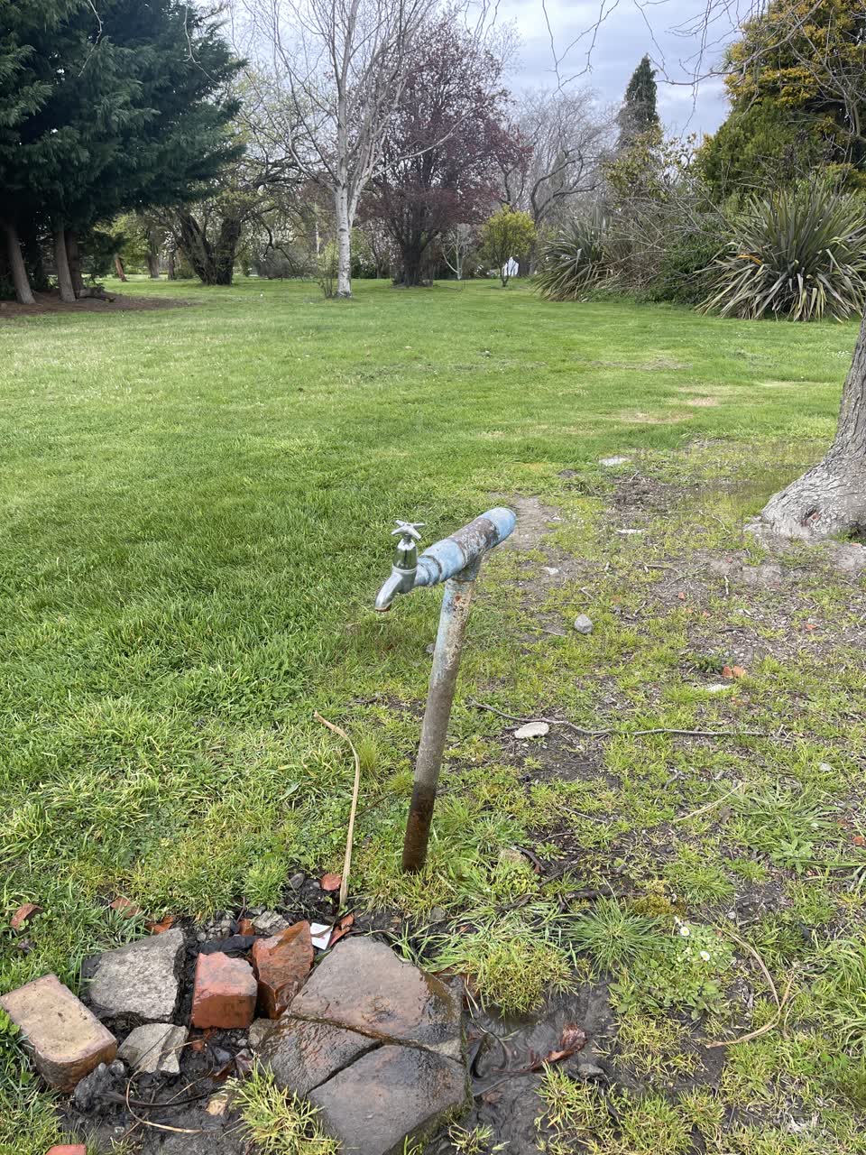 The photograph attached to this water leak report