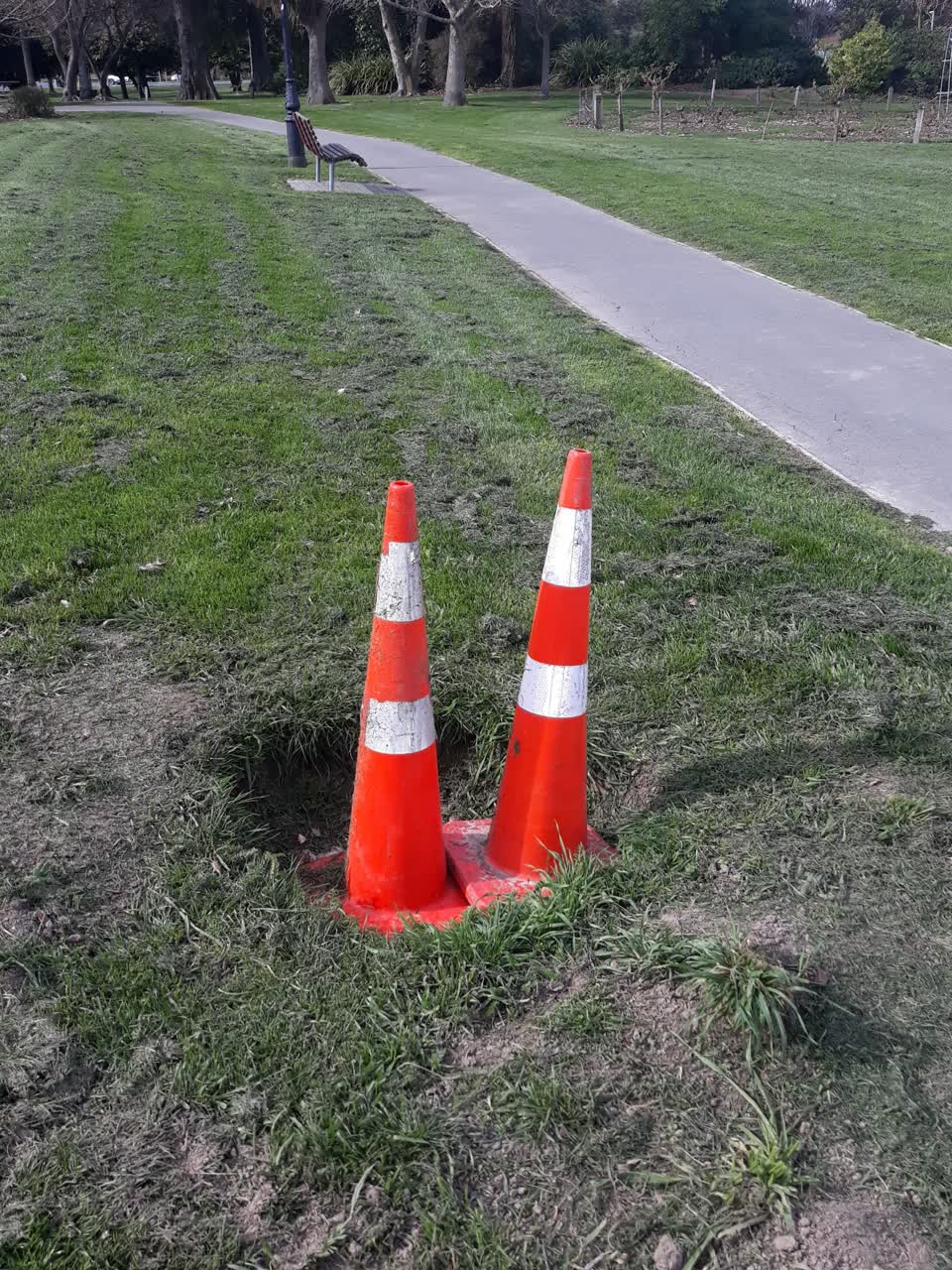The photograph attached to this parks report