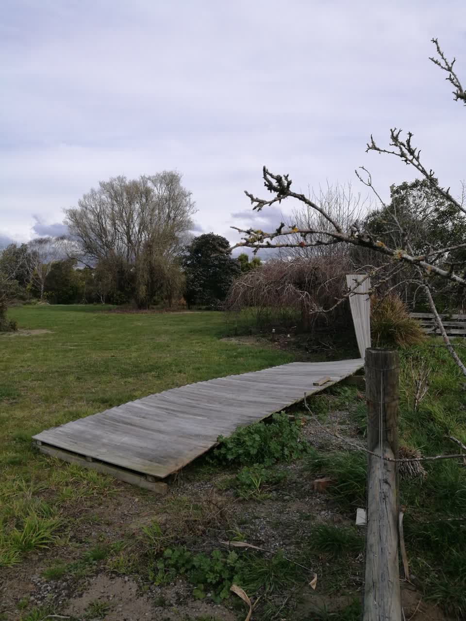 The photograph attached to this parks report