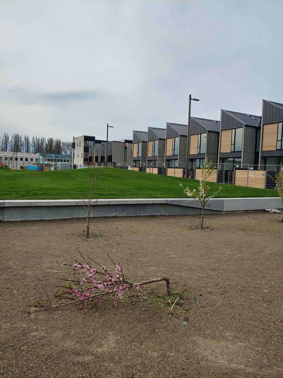 The photograph attached to this parks report