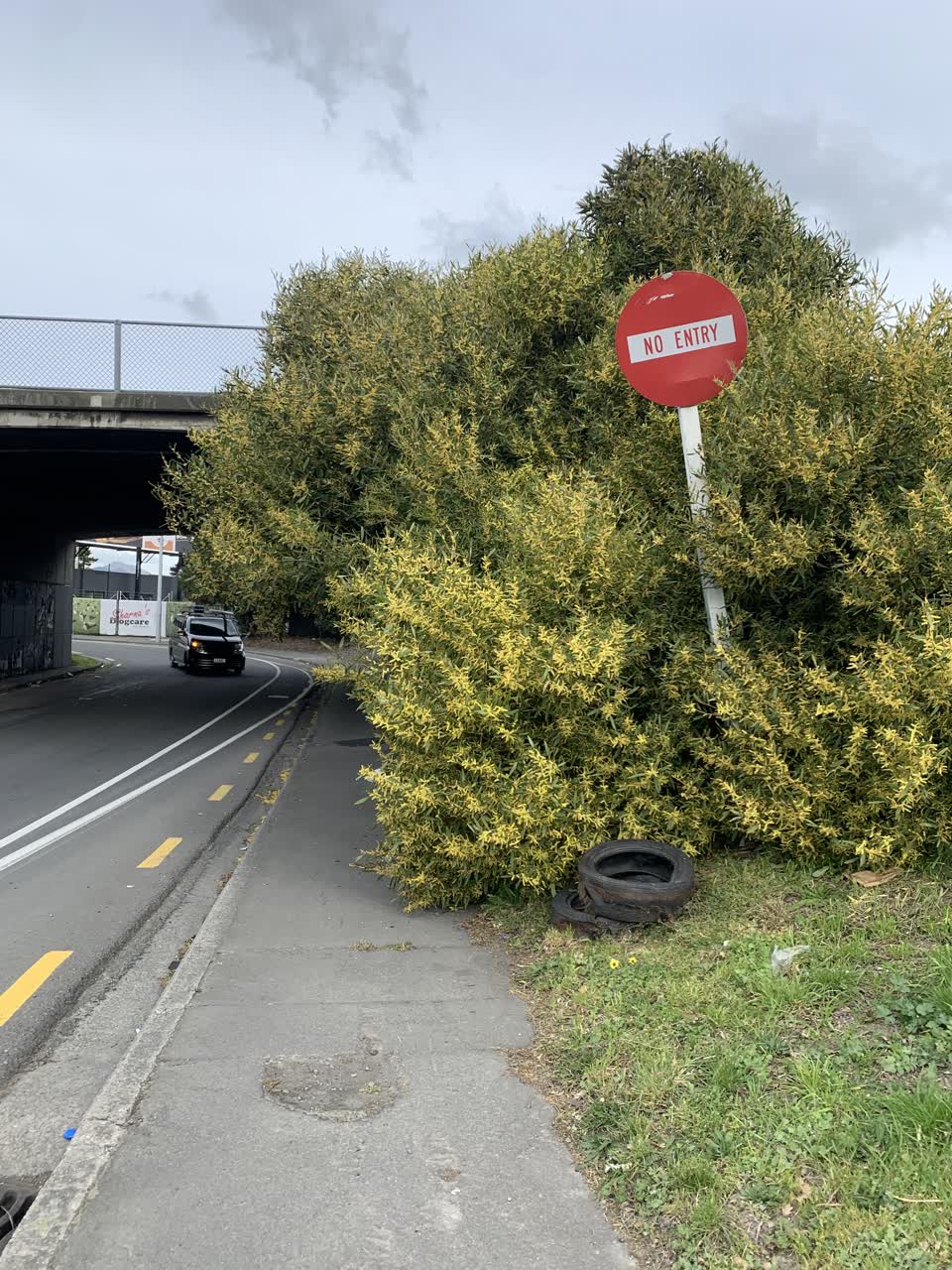 The photograph attached to this roading/streets report