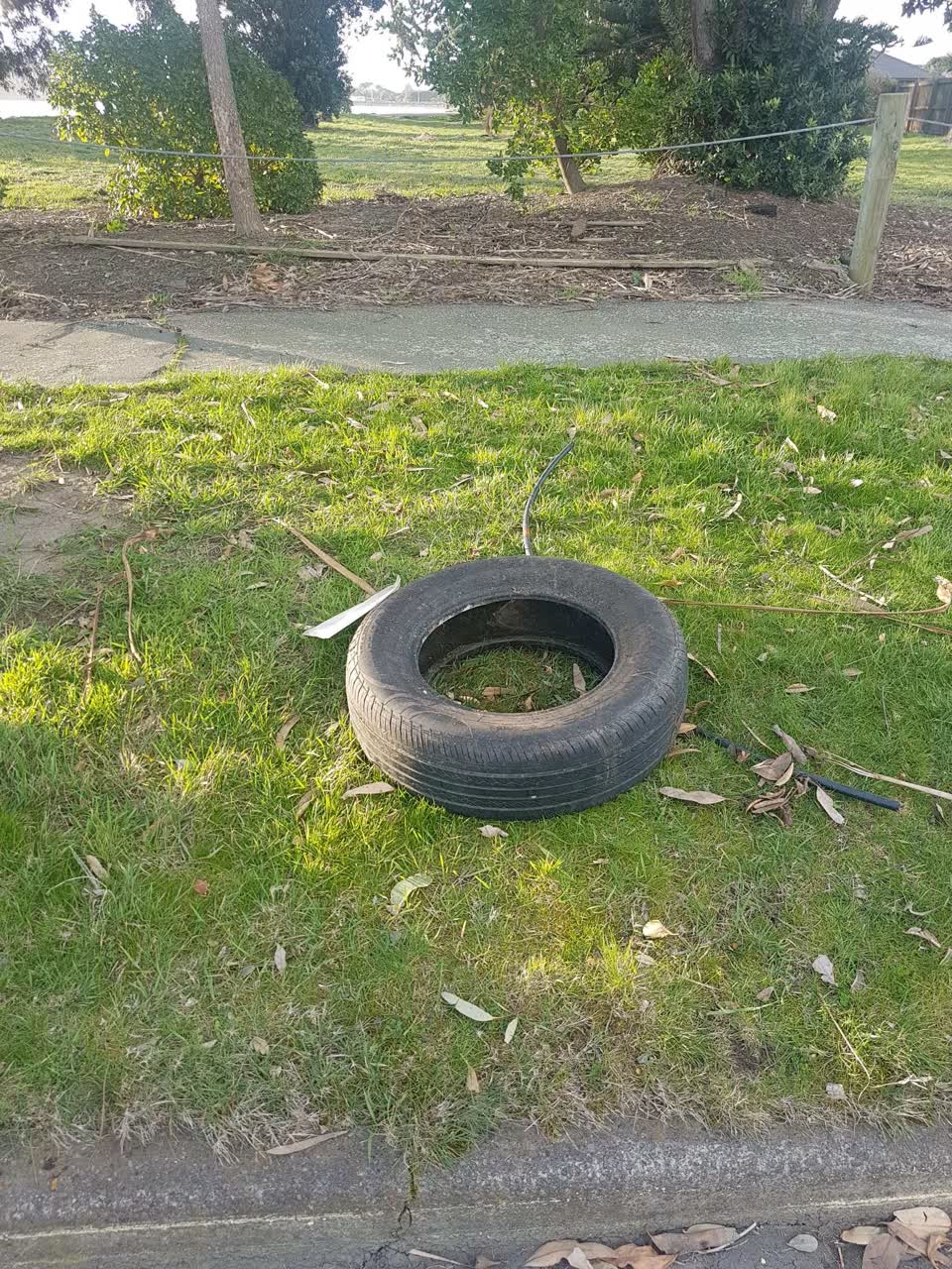 The photograph attached to this rubbish/recycling report