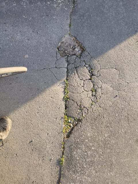 Roading/Streets, a report photo