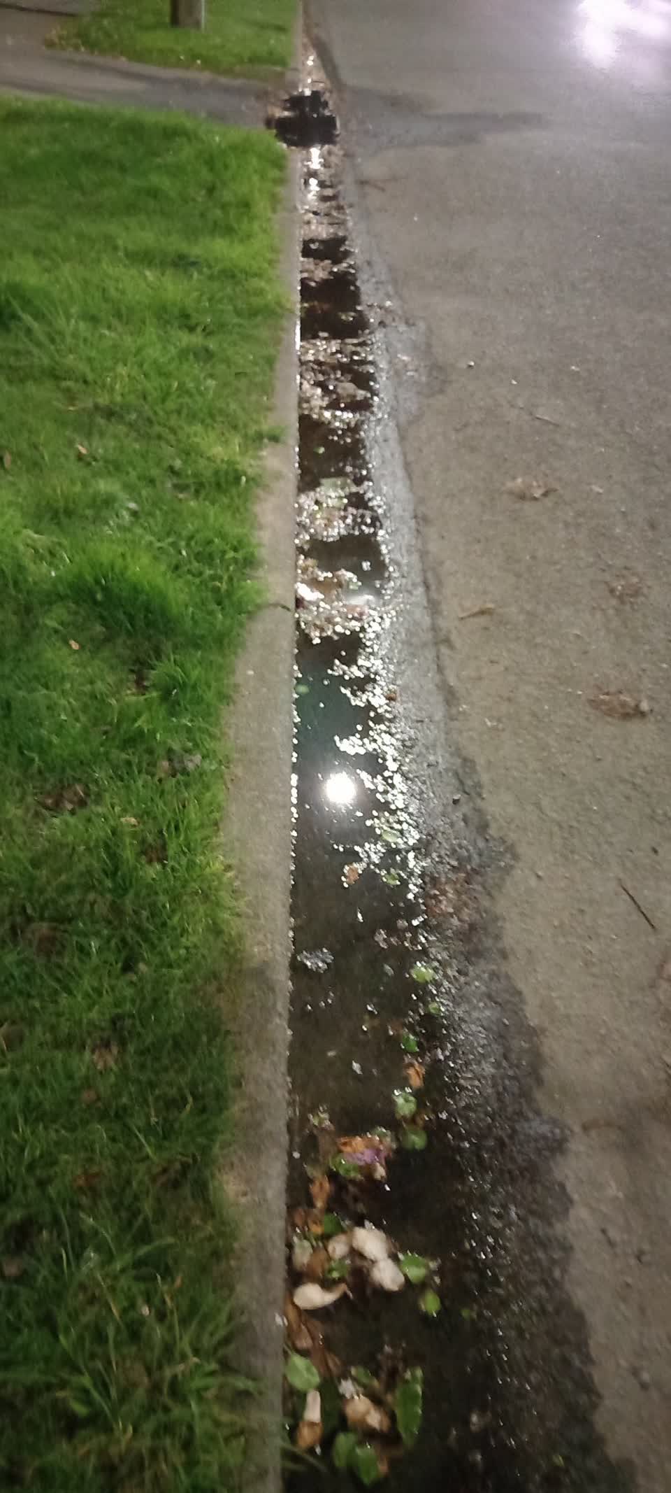 The photograph attached to this water leak report