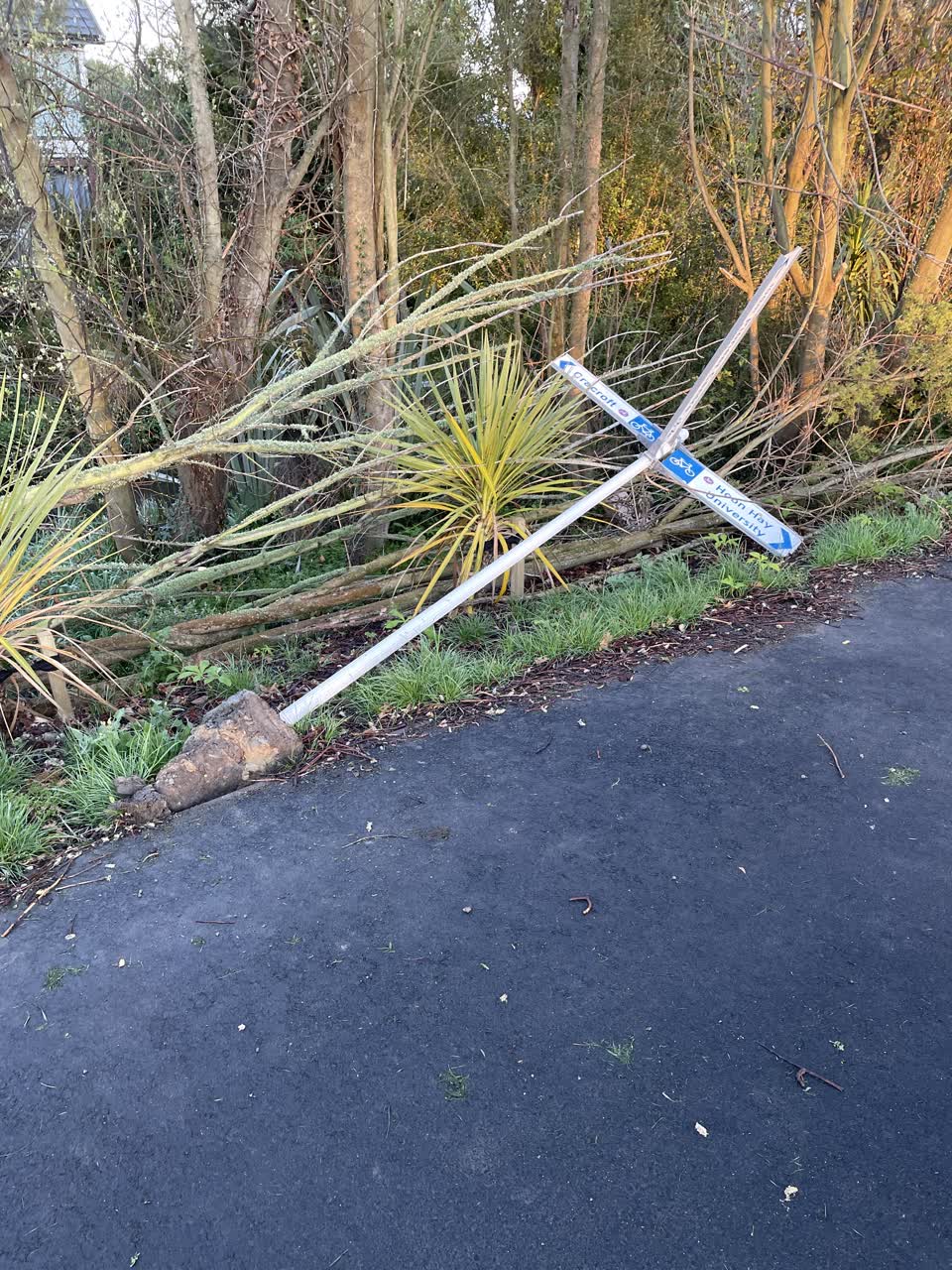 The photograph attached to this parks report