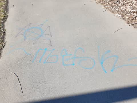 Graffiti, a report photo