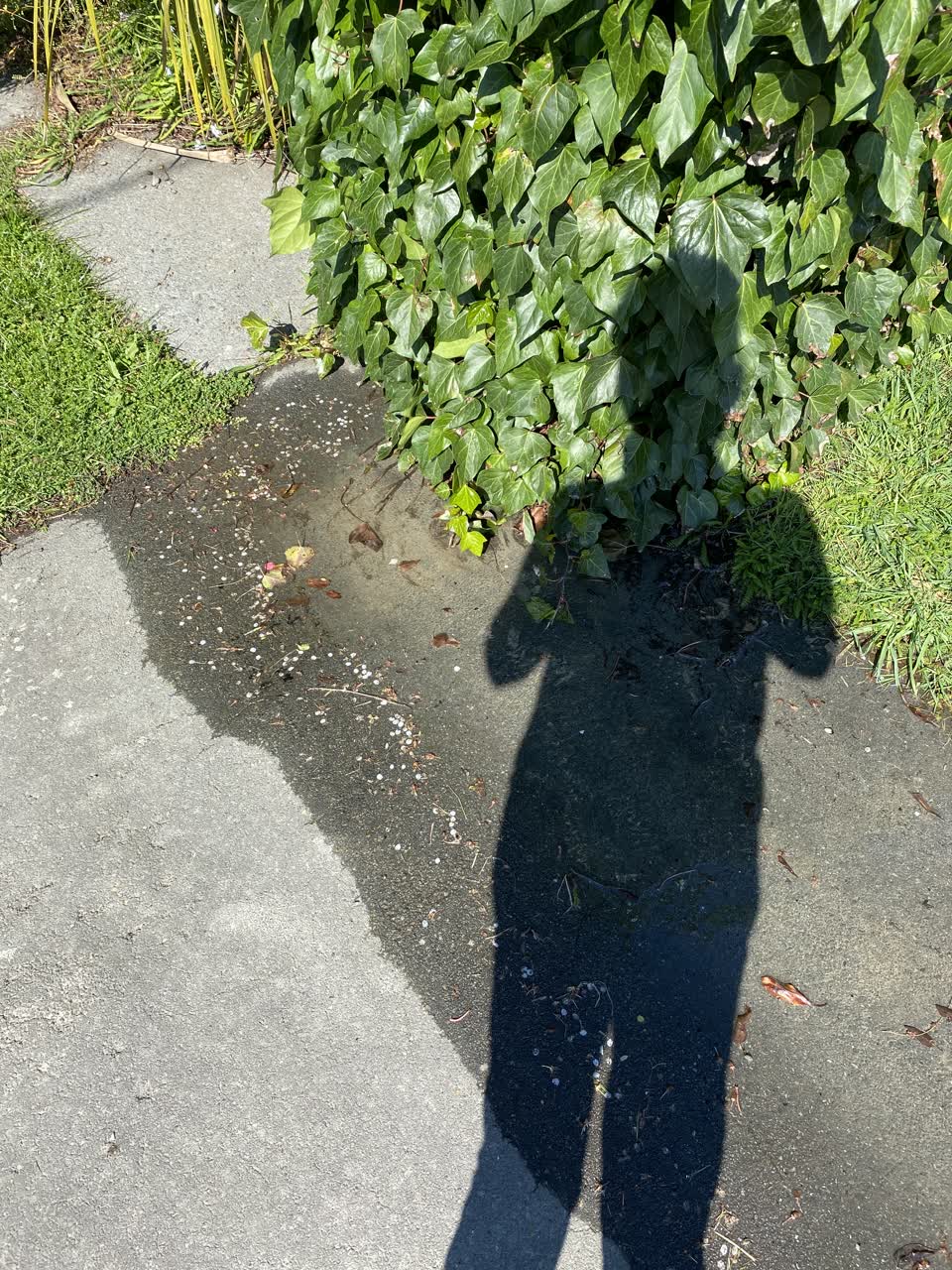 The photograph attached to this water leak report