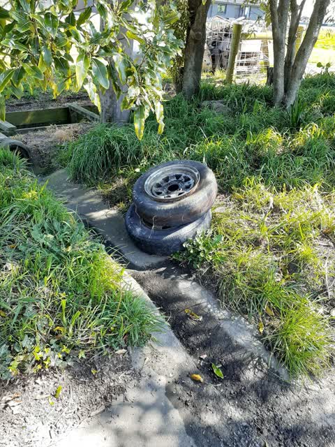Rubbish/Recycling, a report photo