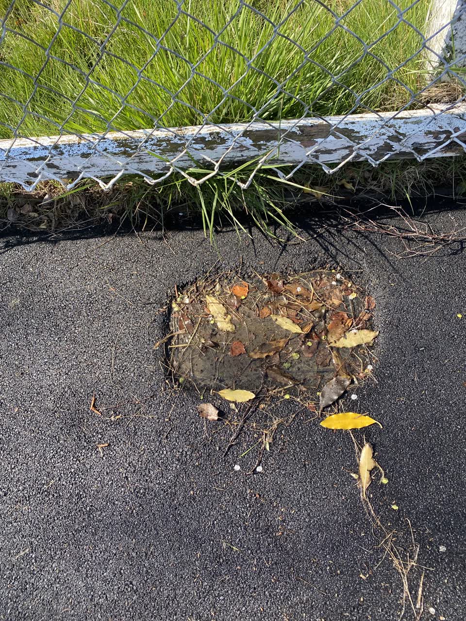 The photograph attached to this water supply report