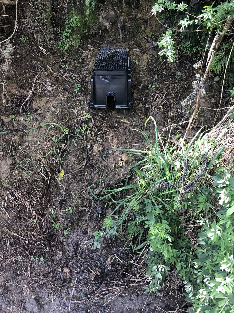 The photograph attached to this water leak report