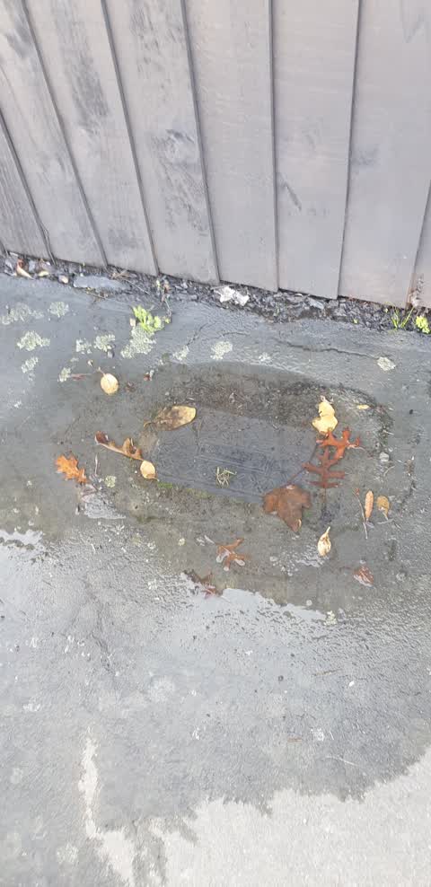 Water Leak, a report photo