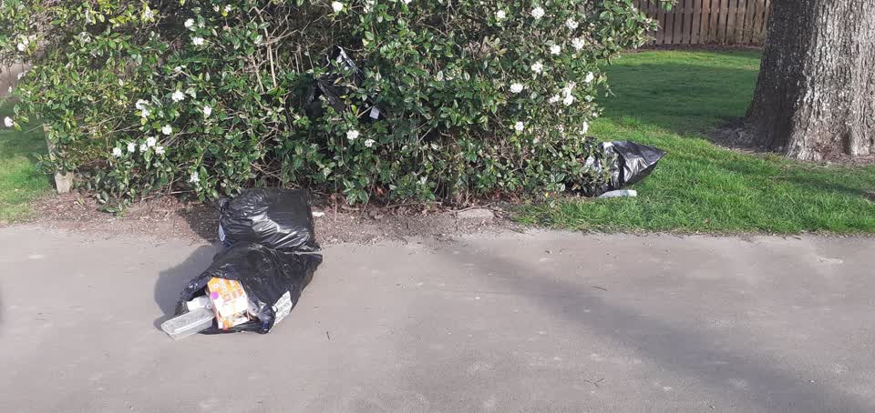 The photograph attached to this rubbish/recycling report