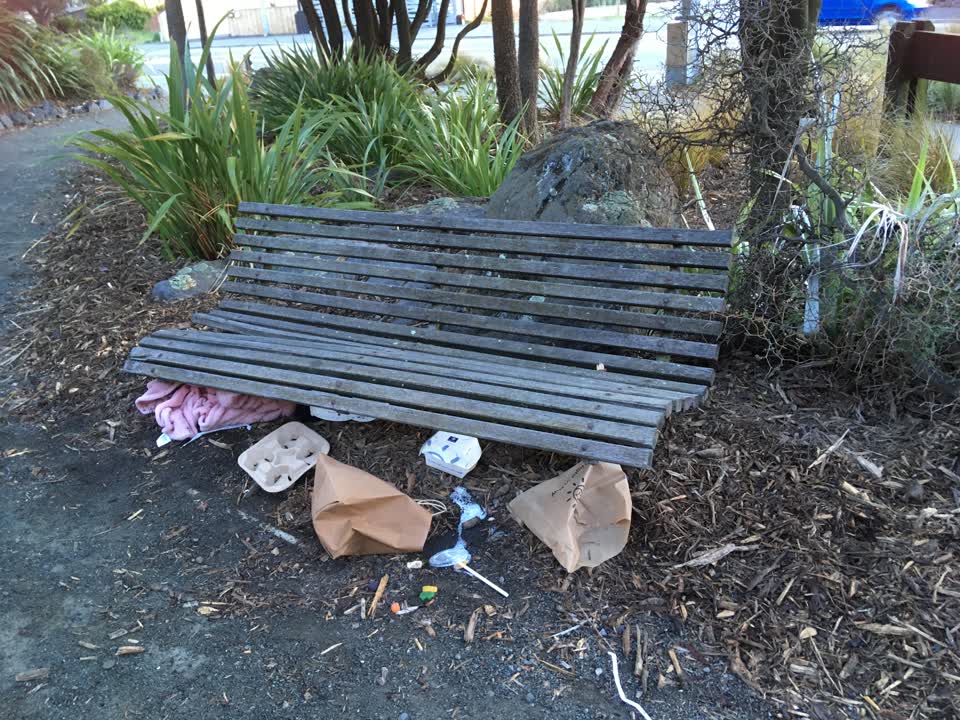 The photograph attached to this rubbish/recycling report