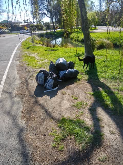 Rubbish/Recycling, a report photo