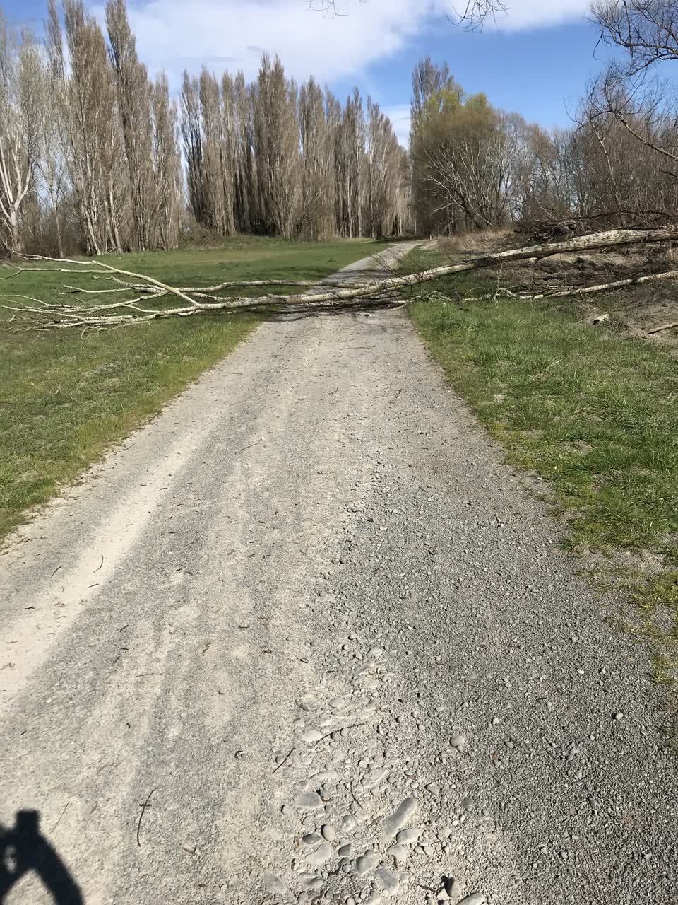 The photograph attached to this parks report