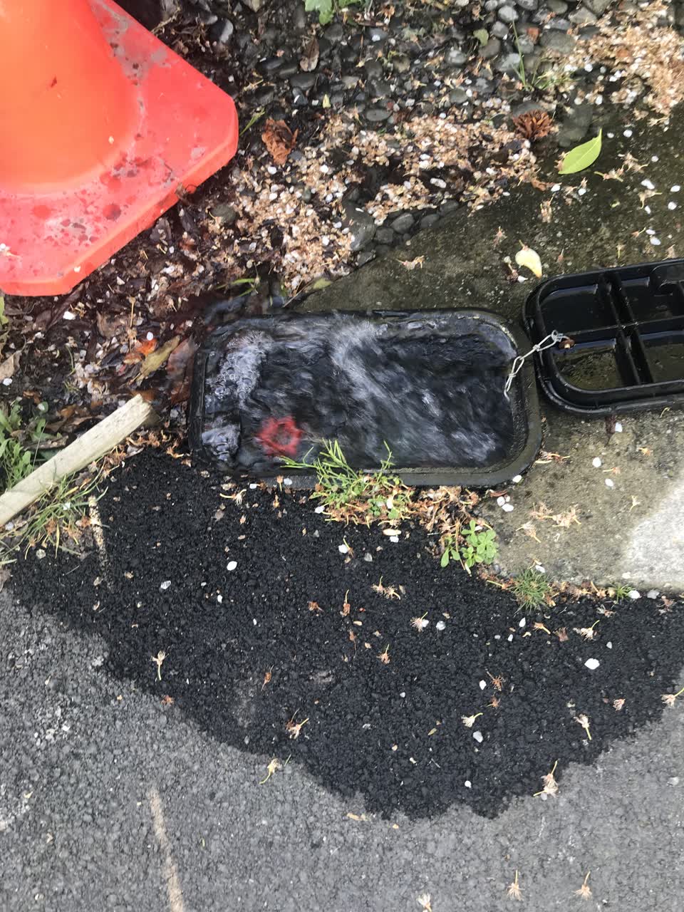 The photograph attached to this water leak report