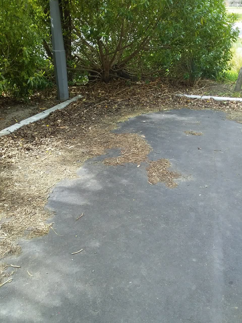 The photograph attached to this parks report