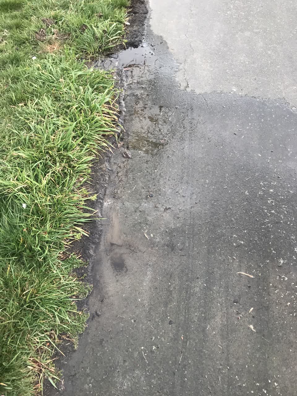The photograph attached to this water leak report
