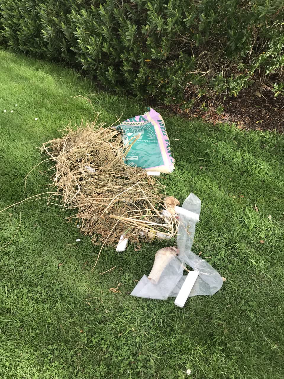 The photograph attached to this parks report