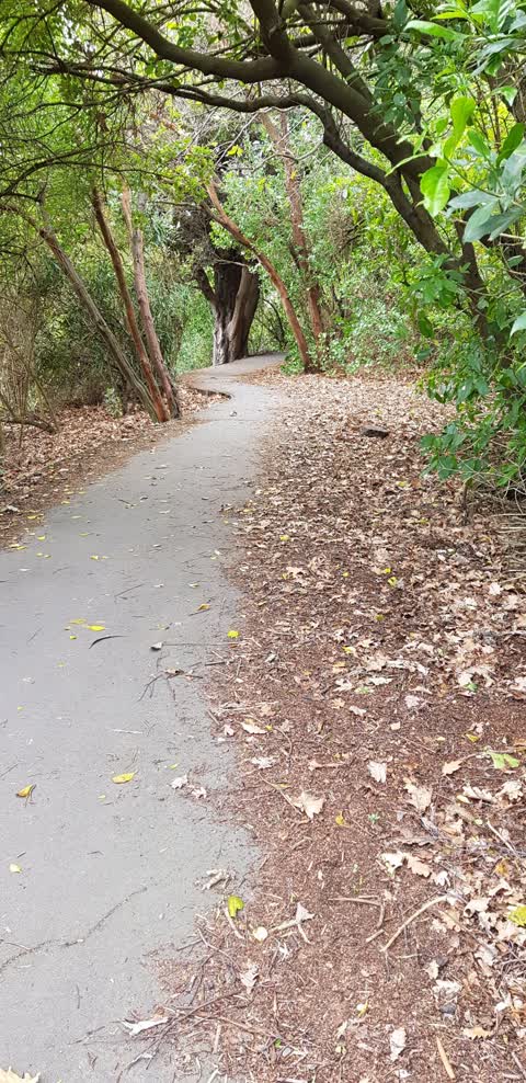 Roading/Streets, a report photo