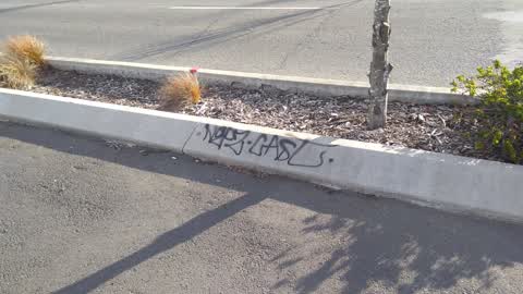 Graffiti, a report photo