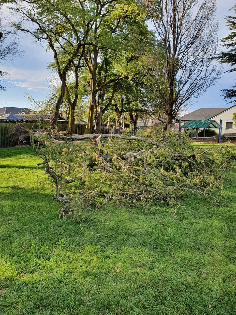 The photograph attached to this parks report