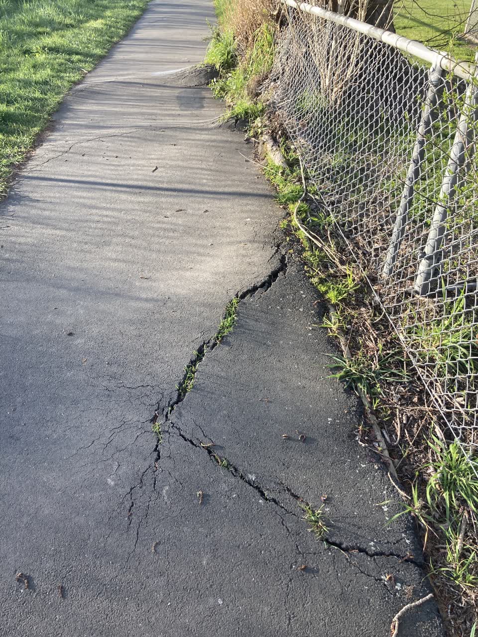 The photograph attached to this roading/streets report