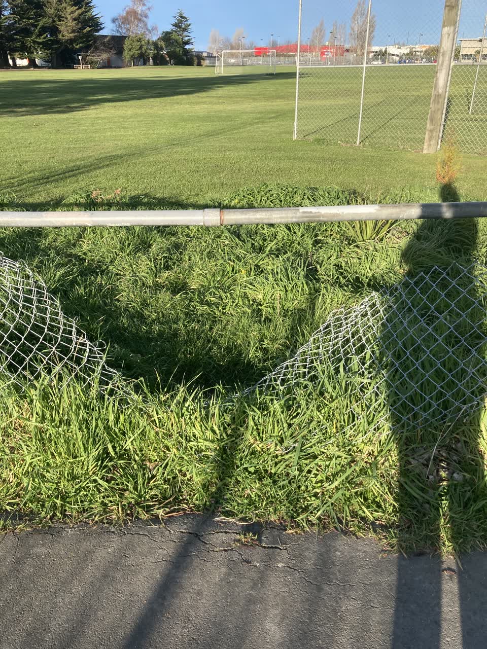 The photograph attached to this parks report