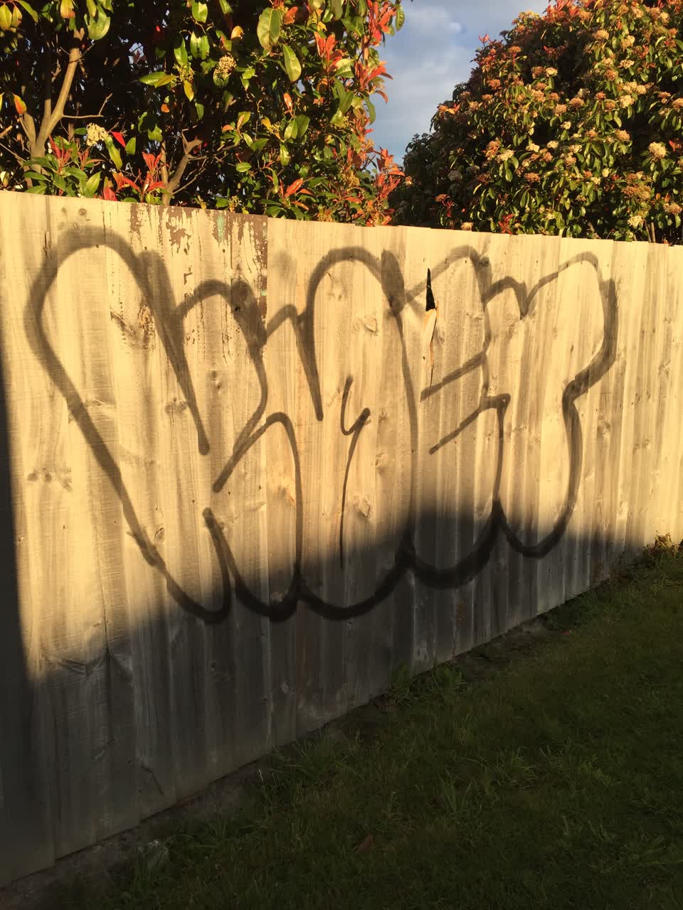 The photograph attached to this graffiti report
