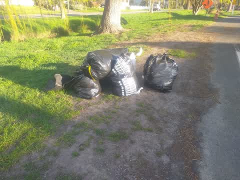 Rubbish/Recycling, a report photo