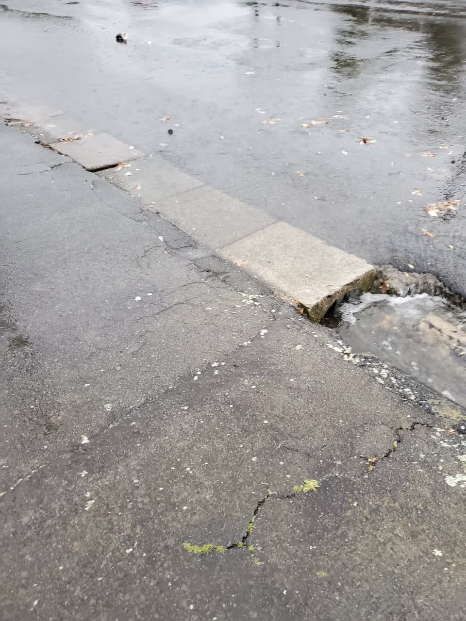 The photograph attached to this flooding report