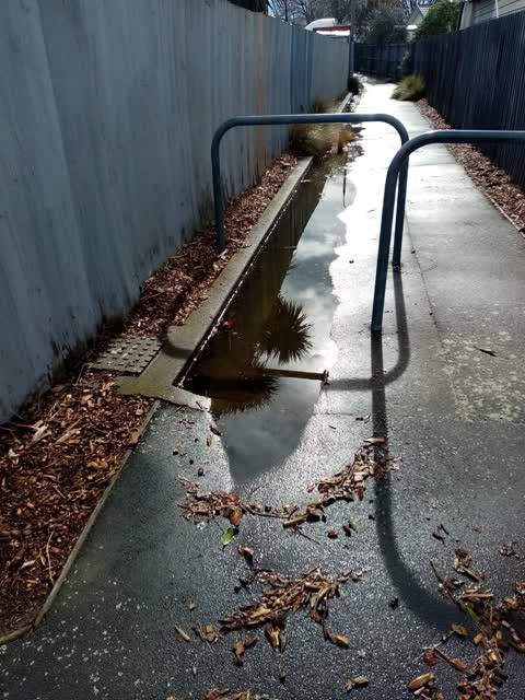 Flooding, a report photo