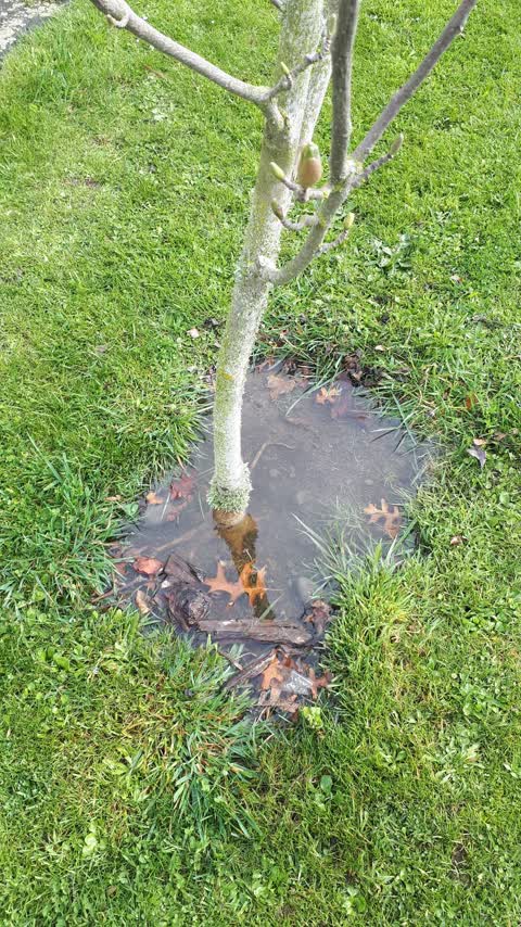 Wastewater/Stormwater, a report photo
